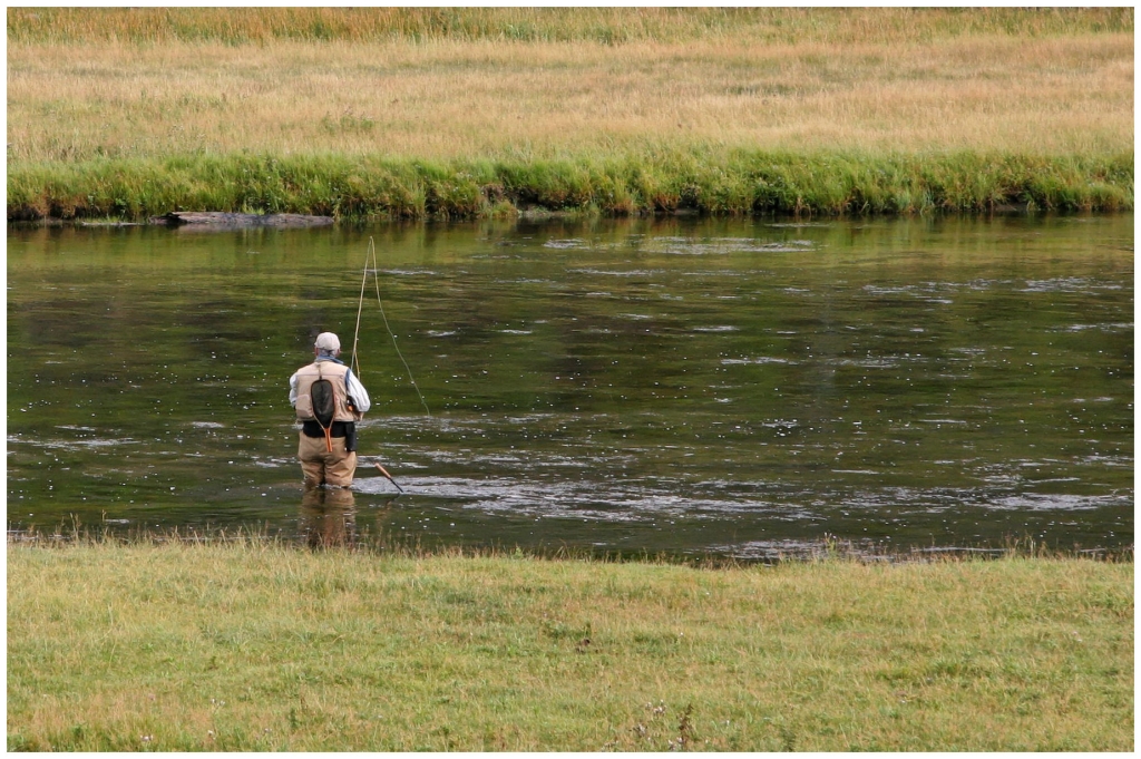 04 - Yellowstone NP (17).jpg